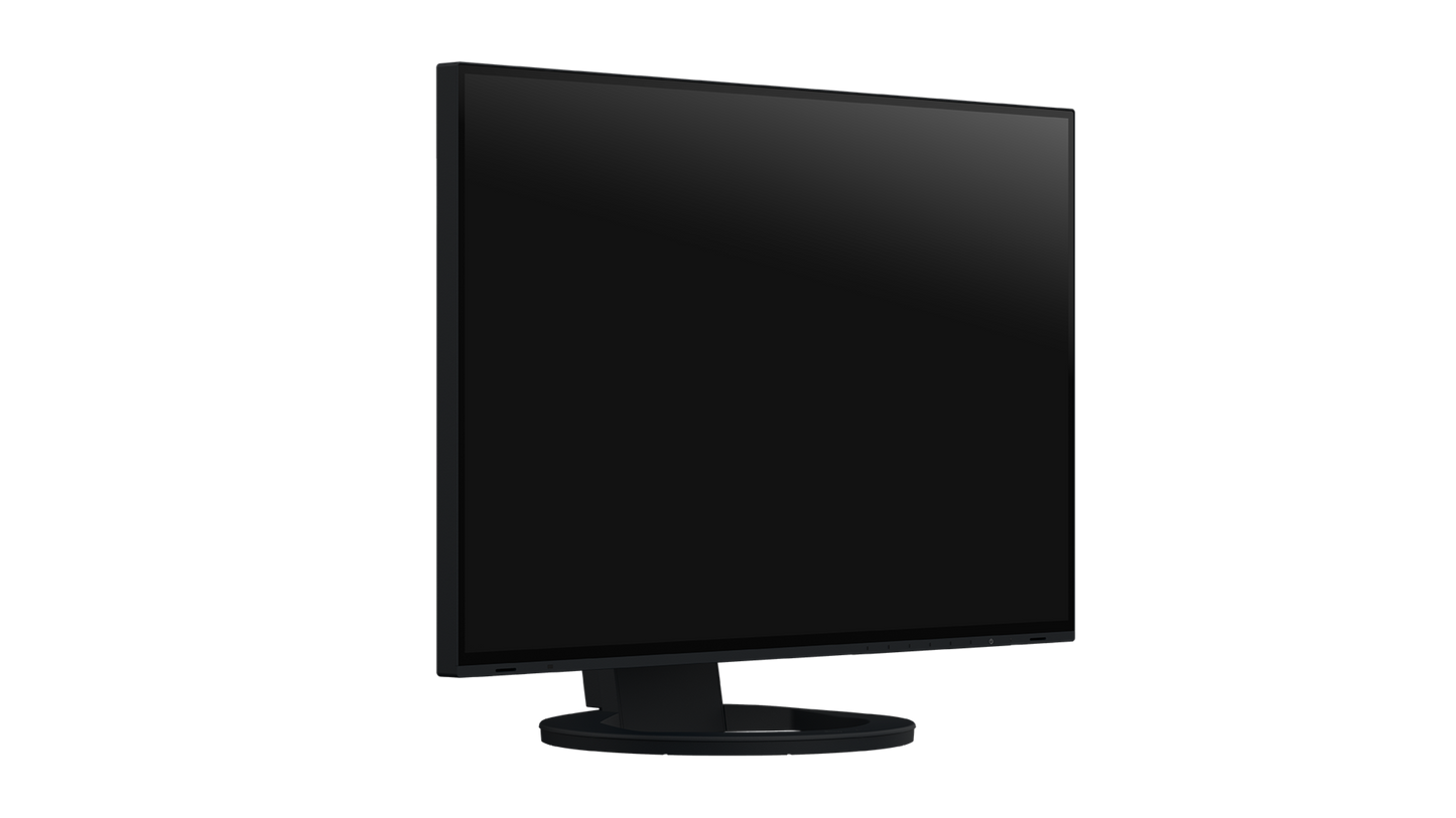 EIZO - FlexScan EV2485 24.1"